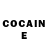 COCAIN Fish Scale Art Sinokid