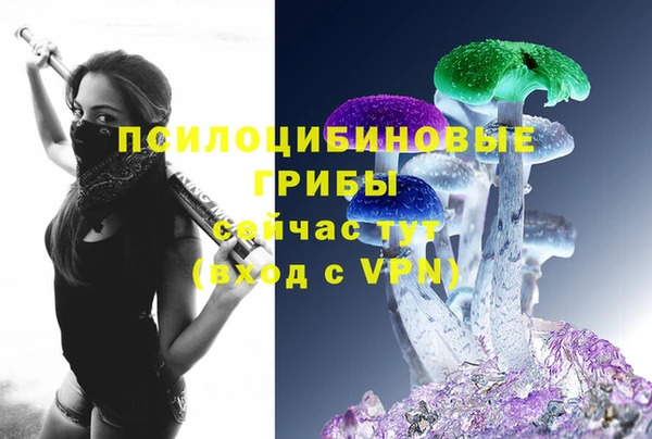 тгк Заволжск