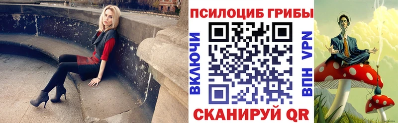 Псилоцибиновые грибы MAGIC MUSHROOMS  Змеиногорск 